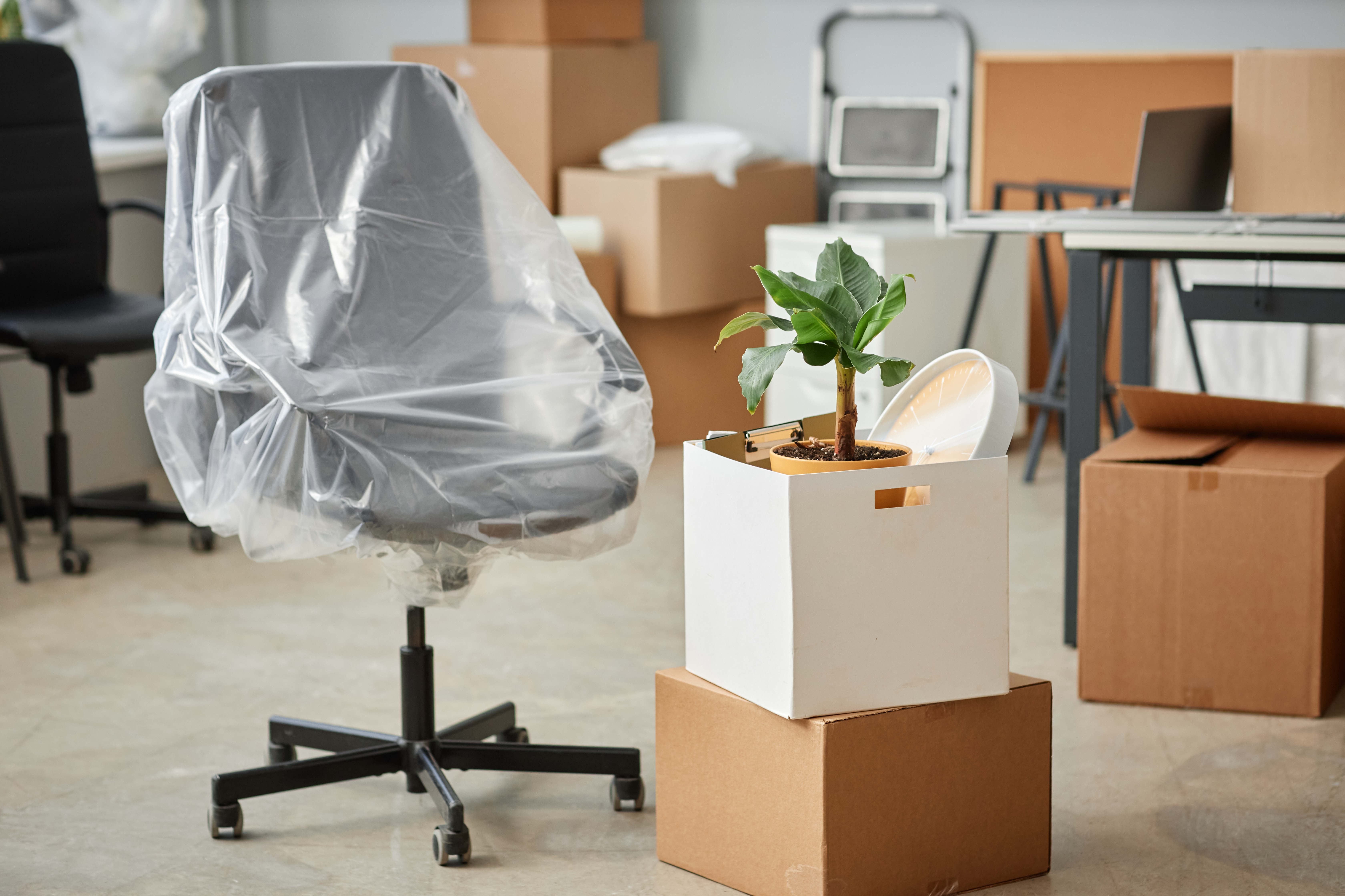 Professional removalists preparing furniture for overseas move